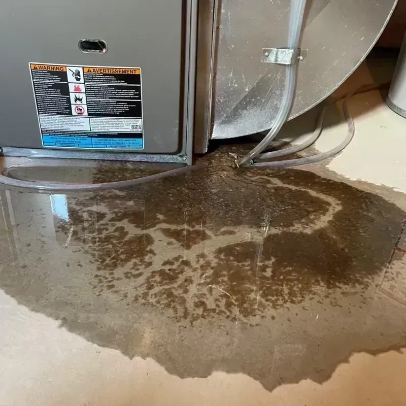 Appliance Leak Cleanup in Gueydan, LA